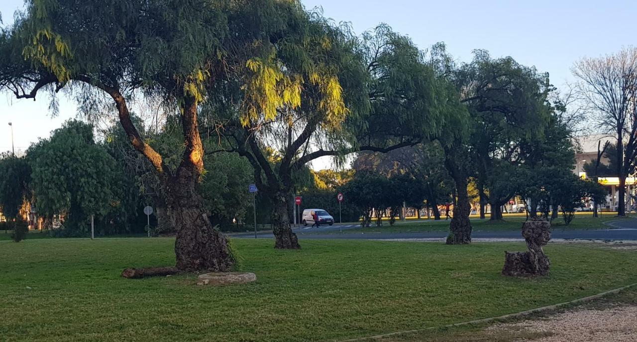 Apartamento Frente A Palacio De Congresos Sevilla Buitenkant foto